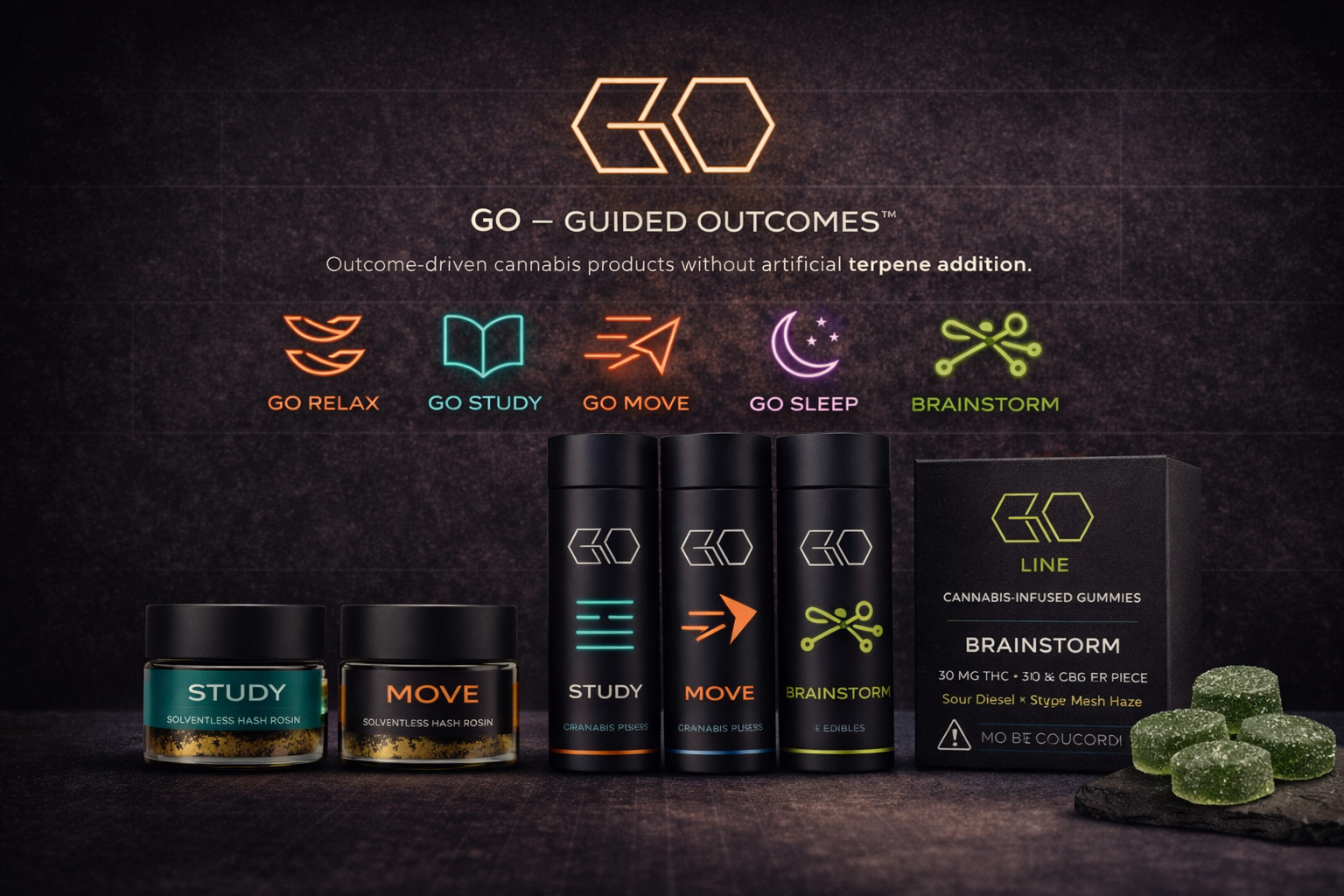 GO product lineup - illustrative examples only, not offerings